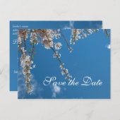 Sparen de date, kersenbloesem takken in de blauwe  aankondigingskaart (Voorkant / Achterkant)