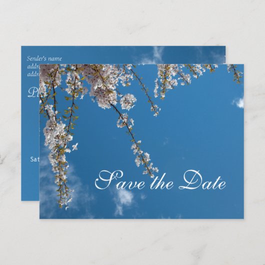 Sparen de date, kersenbloesem takken in de blauwe  aankondigingskaart (Voorkant / Achterkant)