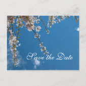 Sparen de date, kersenbloesem takken in de blauwe  aankondigingskaart (Voorkant)