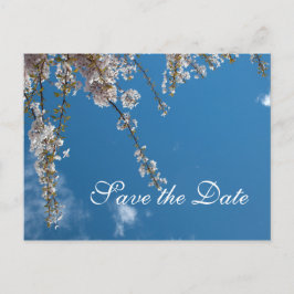 Sparen de date, kersenbloesem takken in de blauwe  aankondigingskaart