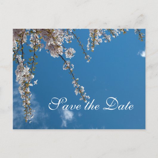 Sparen de date, kersenbloesem takken in de blauwe  aankondigingskaart (Voorkant)