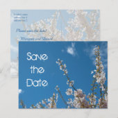Sparen de date, kersensbloesem in de blauwe hemel. aankondigingskaart (Voorkant / Achterkant)