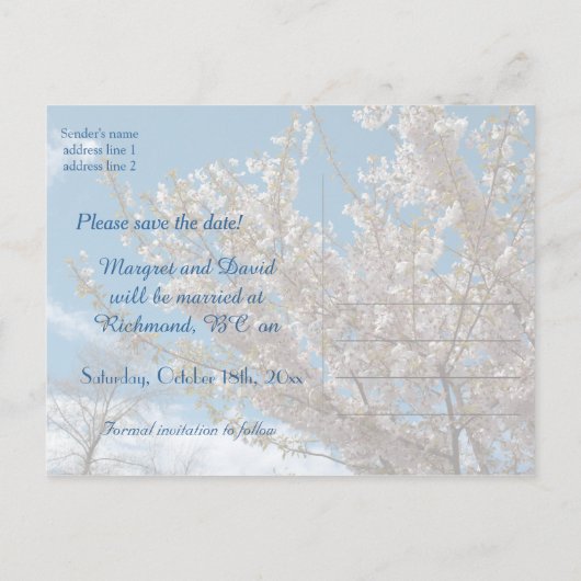 Sparen de date, kersensbloesem in de blauwe hemel. aankondigingskaart (Achterkant)