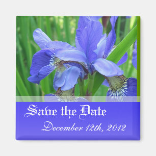 Sparen de date, veer blauwe iris bloemen. magneet