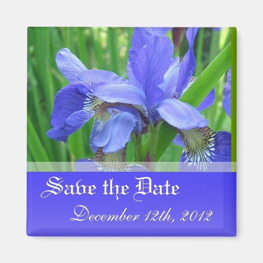 Sparen de date, veer blauwe iris bloemen. magneet (Voorkant)