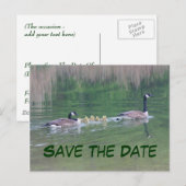 Sparen de Datum Canada Geese Briefkaart van de Nat (Voorkant / Achterkant)