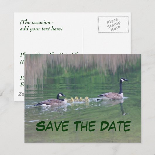 Sparen de Datum Canada Geese Briefkaart van de Nat (Voorkant / Achterkant)