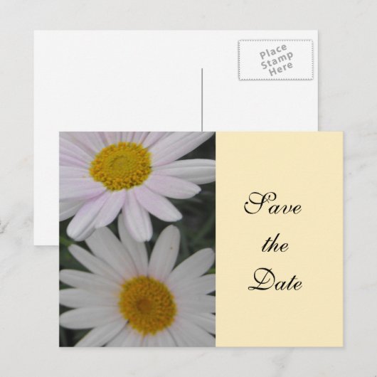 sparen de datum, dagbloemen aankondigingskaart (Voorkant / Achterkant)