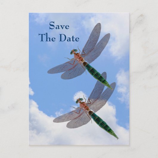 Sparen de Datum Dragonflies het Briefkaart van de  (Voorkant)
