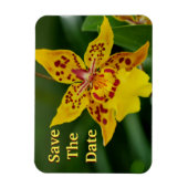 Sparen de Datum Gele Orchid Magnet Magneet (Verticaal)