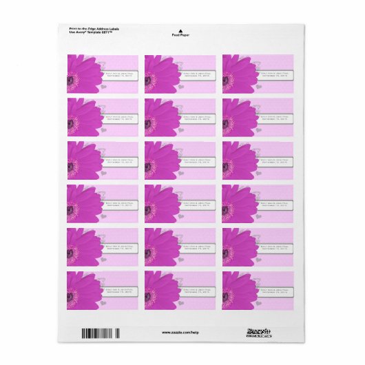 Sparen de Datum Gerber Daisy Musical Notes en het Etiket (Full Sheet)