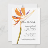 Sparen de Datum met Vogel van Paradise Save The Date (Voorkant)