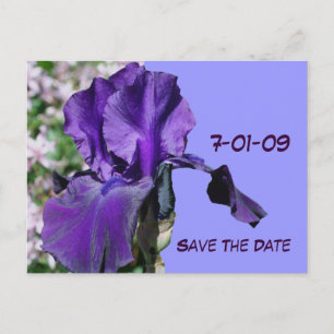 Sparen de Datum Paarse Iris Foto Briefkaart