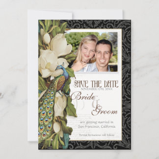 Sparen de Datum - Pacock & Magnolia Swirls Save The Date