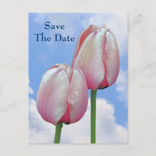 Sparen de Datum roze Tulps Blue Sky Briefkaart (Voorkant)
