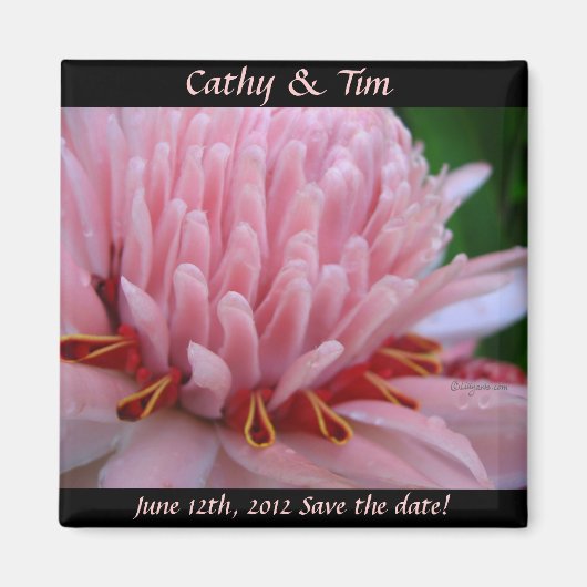 Sparen de Datum van het Bieden Magnetjes Roze Ging Magneet (Voorkant)