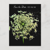 Sparen de Datum van Koningin Anne's Lace Aankondigingskaart (Voorkant)