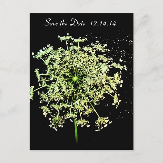 Sparen de Datum van Koningin Anne's Lace Aankondigingskaart (Voorkant)