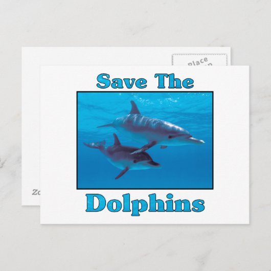 Sparen de Dolfijnen Briefkaart (Voorkant / Achterkant)