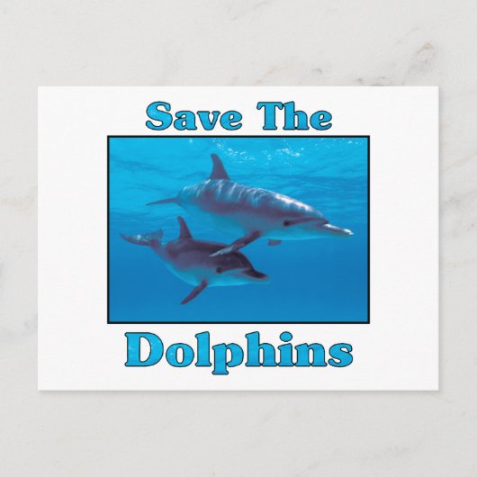 Sparen de Dolfijnen Briefkaart (Voorkant)