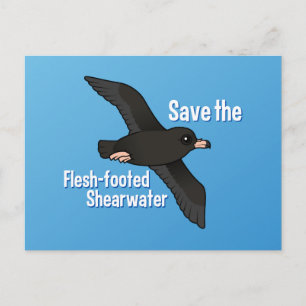 Sparen de Flesh-footed Shearwater Briefkaart
