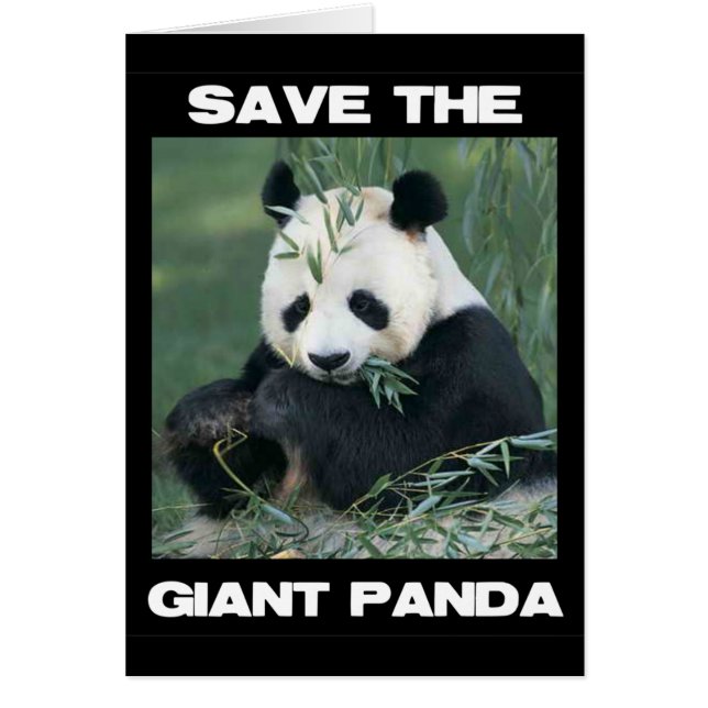 Sparen de Giant Panda (Voorkant)