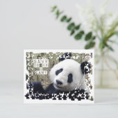 Sparen de Giant Panda Briefkaart (Staand voorkant)