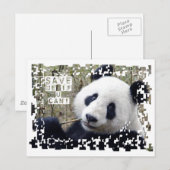 Sparen de Giant Panda Briefkaart (Voorkant / Achterkant)