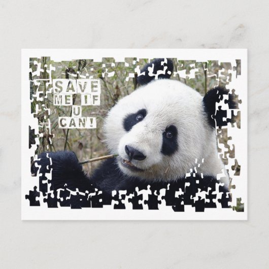 Sparen de Giant Panda Briefkaart (Voorkant)
