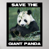 Sparen de Giant Panda Poster (Voorkant)