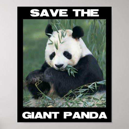 Sparen de Giant Panda Poster (Voorkant)