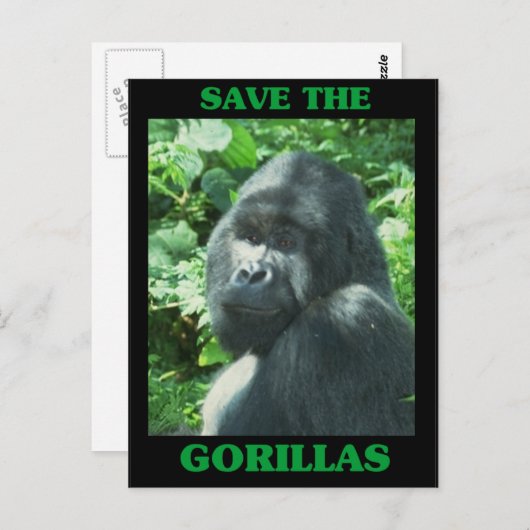 Sparen de Gorillas Briefkaart (Voorkant / Achterkant)