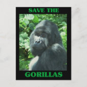 Sparen de Gorillas Briefkaart (Voorkant)