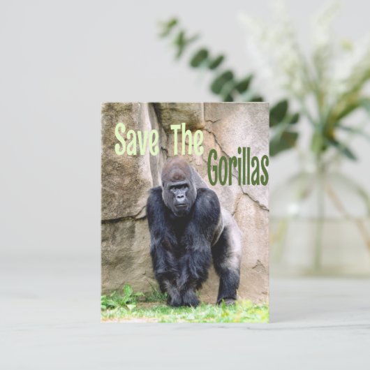 Sparen de Gorillas Briefkaart (Staand voorkant)