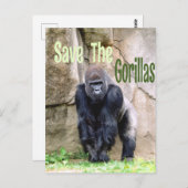 Sparen de Gorillas Briefkaart (Voorkant / Achterkant)