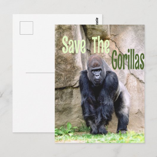 Sparen de Gorillas Briefkaart (Voorkant / Achterkant)
