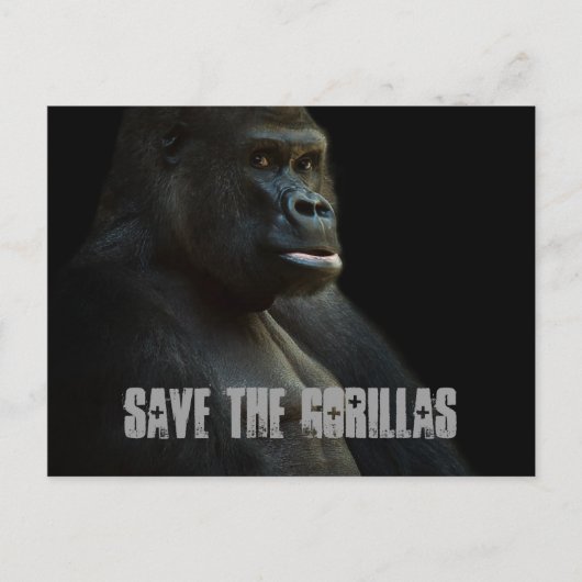 Sparen de Gorillas Briefkaart (Voorkant)