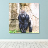 Sparen de Gorillas Canvas Afdruk (Insitu (Houten vloer))