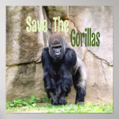 Sparen de Gorillas Poster (Voorkant)