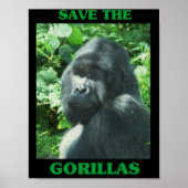 Sparen de Gorillas Poster (Voorkant)