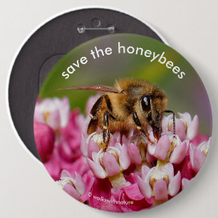 Sparen de Honeybees die Narrowleaf Milkweed bestui Ronde Button 6,0 Cm