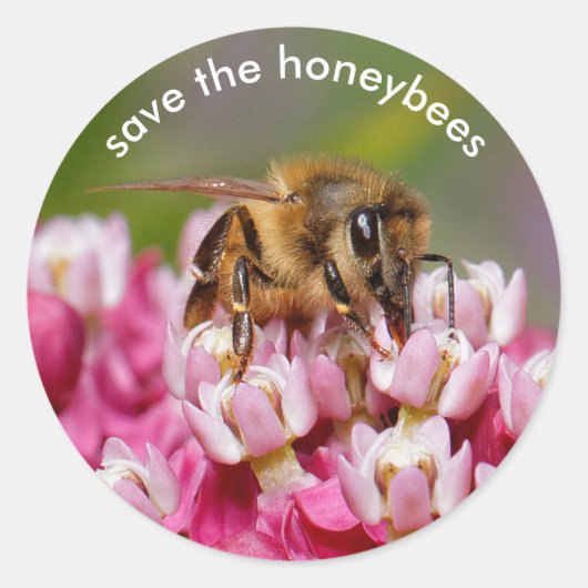 Sparen de Honeybees die Narrowleaf Milkweed bestui Ronde Sticker (Voorkant)
