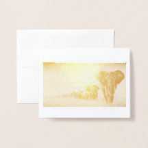 Sparen de Kaart van de Folie van Elephants