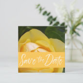 Sparen de Kaart van de Mededeling van de Datum (Staand voorkant)