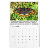 Sparen de Kalender van Butterflies 2023 (Mar 2027)