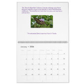 Sparen de Kalender van Butterflies 2023 (Jan 2026)
