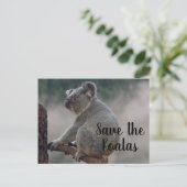 Sparen de Koalas Briefkaart (Staand voorkant)