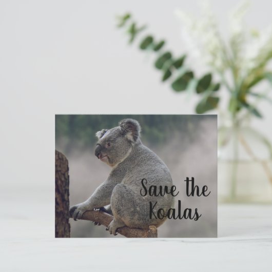 Sparen de Koalas Briefkaart (Staand voorkant)