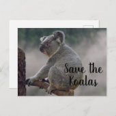 Sparen de Koalas Briefkaart (Voorkant / Achterkant)