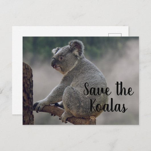 Sparen de Koalas Briefkaart (Voorkant / Achterkant)